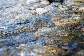 river with a stream and pebbles.pebbles at the bottom of the river