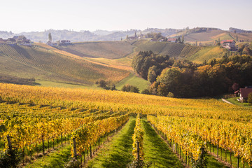 Südsteirische Weinstraße im Herbst
