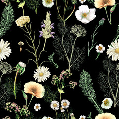 Watercolor seamless pattern of  hand drawn wildflowers