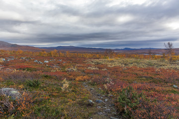 autumn view of Sarek National Park, Lapland, Norrbotten County, Sweden, near border of Finland, Sweden and Norway. selective focus
