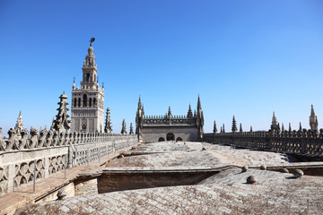Giralda Tower + Seville Cathedral Roof