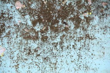Retro concrete weathered wall old texture with moss.