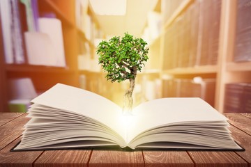 Open old book and tree, education concept