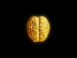 Golden brains on black background
