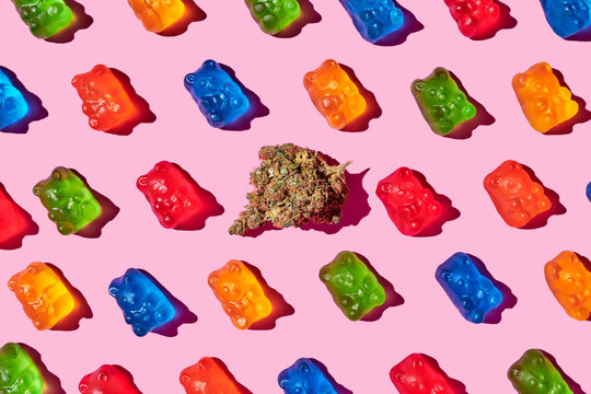 recreational marijuana with gummy bears on a pink background