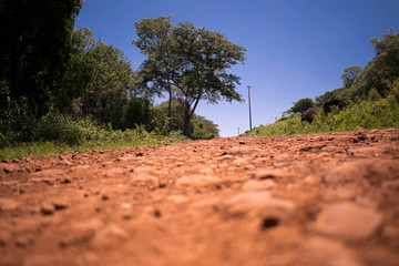 camino de tierra