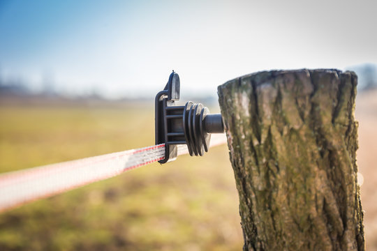 Black electric fence insulator on a fence post. Pole made of tree branch with bark. Meadow and blue sky in the background