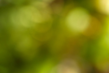 Obraz premium Background bokeh. Abstract green colors. Colorful abstract background. Background texture. Abstract green with a yellow backdrop. Blur image of green light. Blurry lights on a green background.