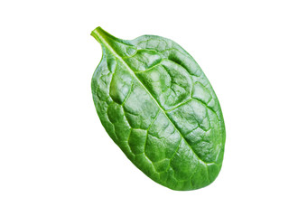 Spinach leaves on a white isolated background