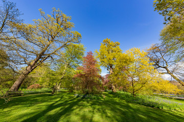 Fototapeta premium The beautiful natural landscape of the Kew Garden