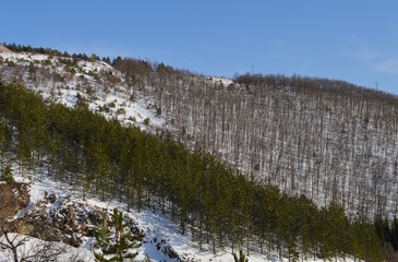 Fototapeta na wymiar the landscape of the hills, in winter