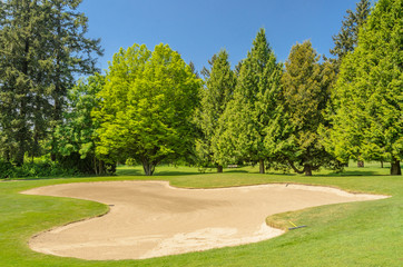 Golf course with gorgeous green.