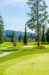 Golf course with gorgeous green and sand bunker.