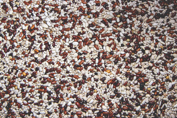 white and brown beans texture background or pattern
