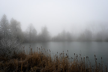 Mysterious fog over the lake 