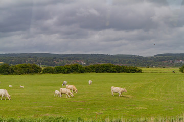 Fototapeta premium Rural landscape near Arundle
