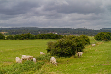 Fototapeta premium Rural landscape near Arundle