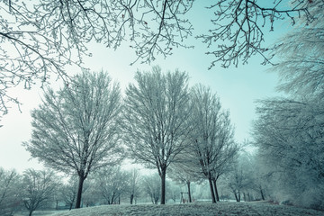 Fototapeta premium Ein anderer kalter Winter