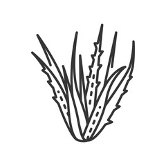 Aloe plant black line icon. Plant that used both internally and externally on humans as folk or alternative medicine. Pictogram for web page, mobile app, promo. Editable stroke.
