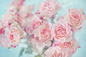 Close-up floral composition with a pink roses. Many beautiful fresh pink roses. 