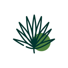 Isolated natural leaf half line half color style icon vector design