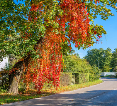Pleasure tourist boats at coral reef near Eilat -  famous resort city in Israel