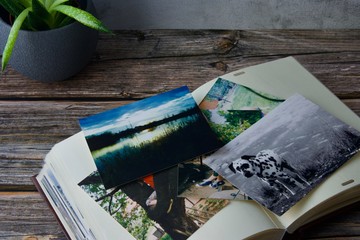 A photo album with scattered colourful various photographs on a wooden table with a green flower on it