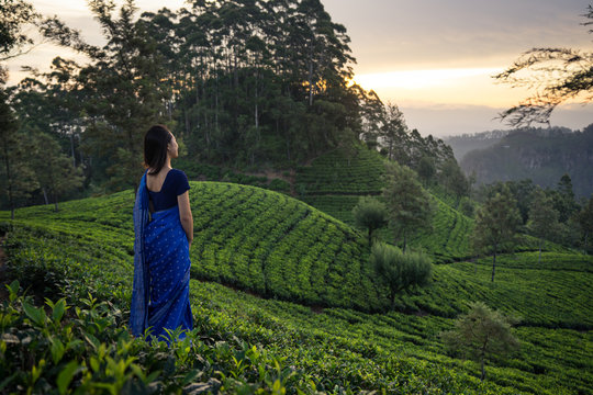 Back view of anonymous ethnic female in blue traditional clothes looking away while standing on tea meadows in Haputale in Sri Lanka
