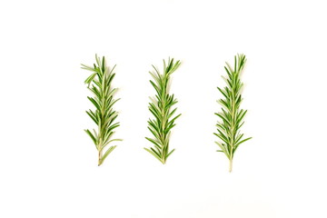 rosemary leaves isolated on white background. flat lay, top view.abstract