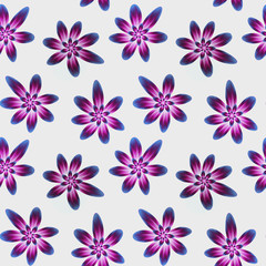 Seamless repeat pattern with flowers in blue and pink on white background. drawn fabric, gift wrap, wall art design.