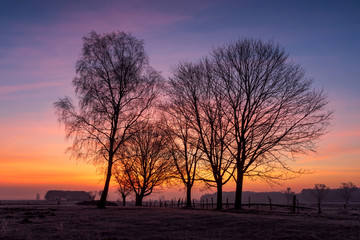 Krajobraz wiejski Podlasia, Podlaskie wierzby, Łagodna zima 2020, Dolina Narwi, Polska