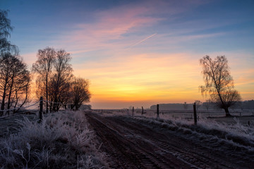 Krajobraz wiejski Podlasia, Podlaskie wierzby, Łagodna zima 2020, Dolina Narwi, Polska