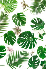 Fototapeta na wymiar tropical green palm, monstera leaves , branches pattern isolated on a white background. top view.copy space.abstract.