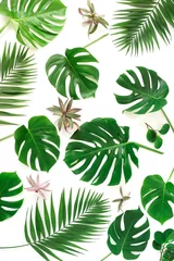 Papier Peint photo Feuilles tropicales palmier vert tropical, feuilles de monstera, motif de branches isolé sur fond blanc. top view.copy space.abstract.