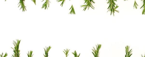 rosemary leaves  frame isolated banner on white background. copy space. flat lay, top view.