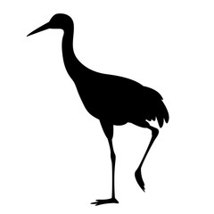 crane bird , vector illustration,  black silhouette, profile