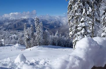 Beautiful mountain landscape with view of winter forest, ski slope, top of mountains. Panorama winter fairy tale