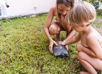 Brother and sister playing with a turtle in the yard