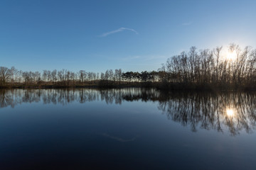Mirror forest lake with reflection in winter sunny day, de Kempen regio in North Brabant, Netherlands