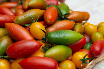 Many small ripe colorful tomatoes