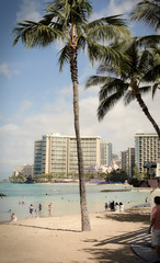 Obraz premium Hawaiian Beach
