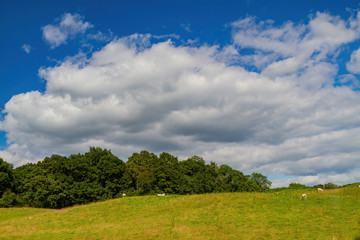 Beautiful nature landscape around Lake Windermere