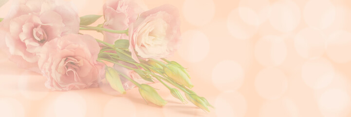 Abstract blur defocused background, gently tinted, Very beautiful blur eustoma branch on pastel pink and beige background with bokeh, copy space, banner format