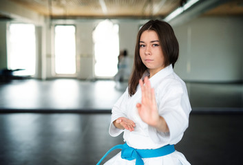 A young woman practising karate indoors in gym. Copy space.
