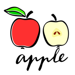A red apple, and an apple in the cut. Flat vector illustration. Lettering word apple
