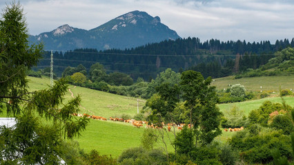 OLYMPUS DIGITAL CAMERA © martagro