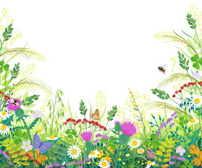 Naklejki  Kolorowa ramka z letnimi roślinami łąkowymi i owadami