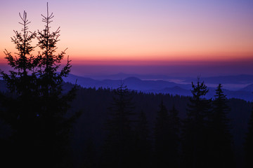 Dawn in the mountains - black outlines of fir trees and the top of a mountain range in the fog against the pink stripe of the sky. View from the hotel window in the mountains, dawn at 5 am