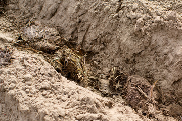 Ploughed field. Treatment and fertilization of land, soils. Agriculture