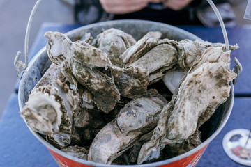 Bucket of oysters  © Toni